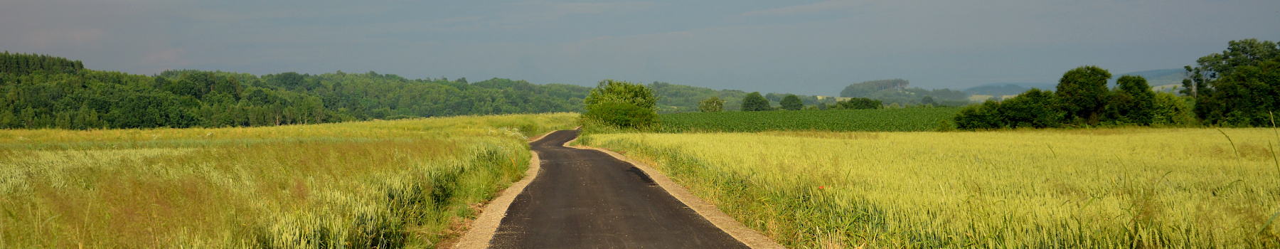 Widok panorama z drogą wśród pól